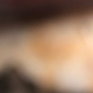 Meet your Posher, Daniela